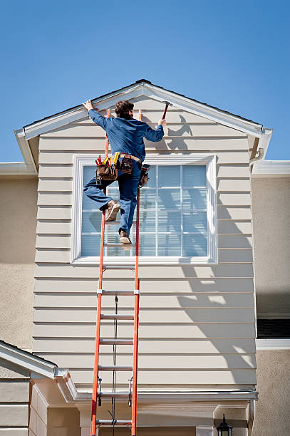 Best Vinyl Siding Installation  in Lake Vla, IL